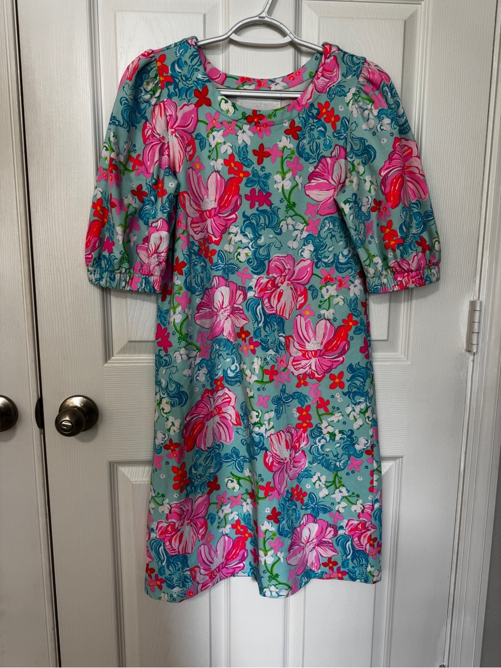 Lilly Pulitzer Cayce Short Puff Sleeve Dress Sz Small Surf Blue Luscious Lions
